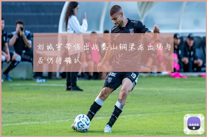 刘诚宇带伤出战泰山铜梁龙出场与否仍待确认