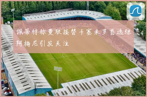 佩蒂特称曼联接替卡塞米罗首选琼阿梅尼引发关注