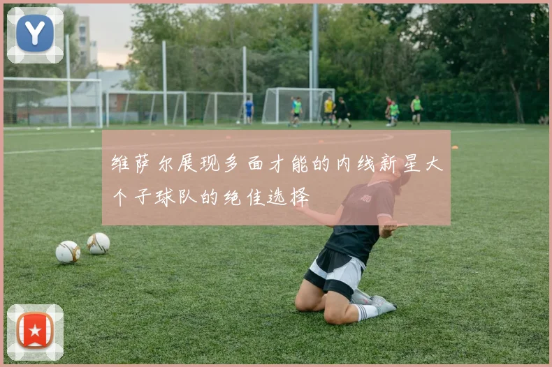 维萨尔展现多面才能的内线新星大个子球队的绝佳选择