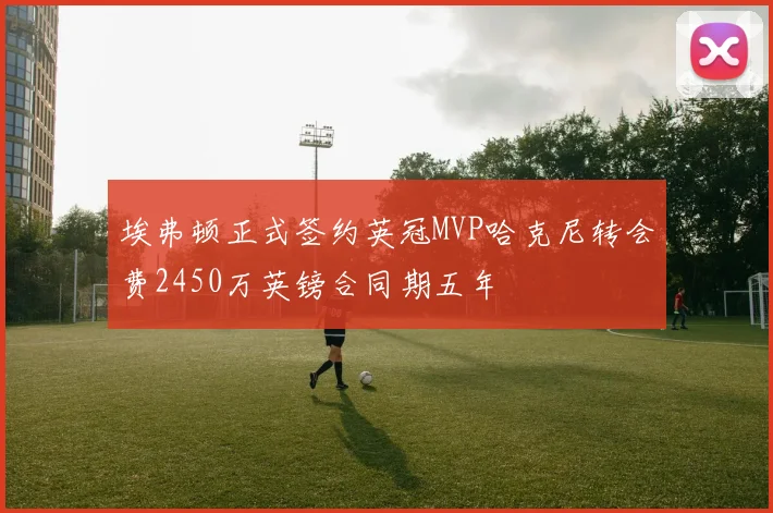 埃弗顿正式签约英冠MVP哈克尼转会费2450万英镑合同期五年
